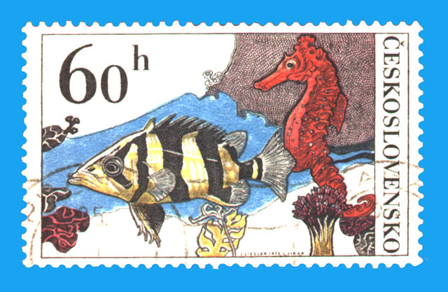 NIH zebrafish research included in U.S. Postal Service's “Life Magnified”  stamps