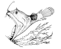 To FishBase images (<i>Linophryne algibarbata</i>, Canada, by Canadian Museum of Nature, Ottawa, Canada)