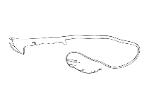 To FishBase images (<i>Saccopharynx ramosus</i>, Cape Verde, by Reiner, F.)