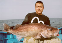 To FishBase images (<i>Niphon spinosus</i>, Japan, by IGFA)